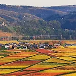 Moselpanorama Apartment Ellenz-Poltersdorf