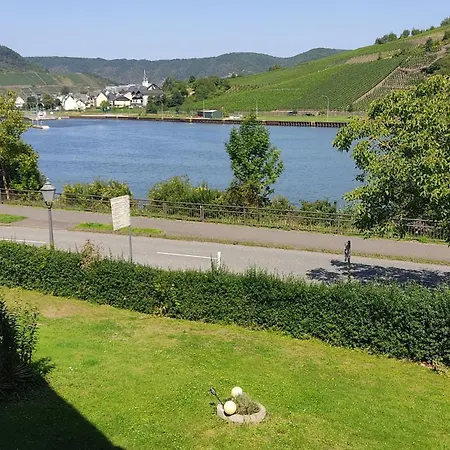 Moselpanorama Lejlighed Ellenz-Poltersdorf