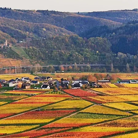 Moselpanorama 公寓 埃伦波特道夫