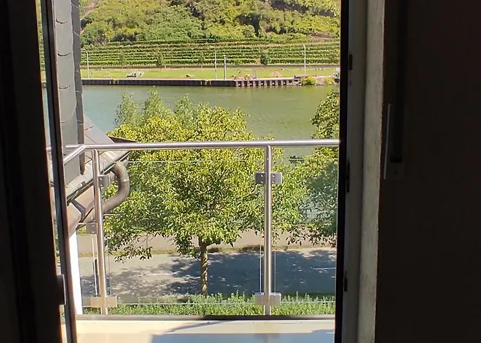 Moselpanorama 公寓