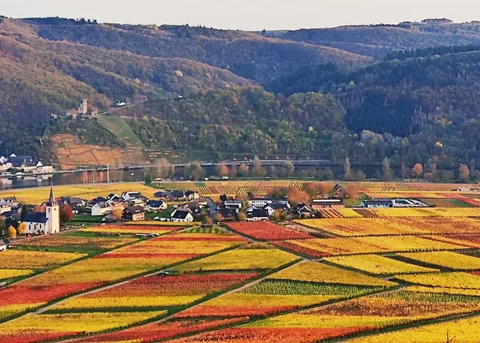 Moselpanorama 公寓 埃伦波特道夫