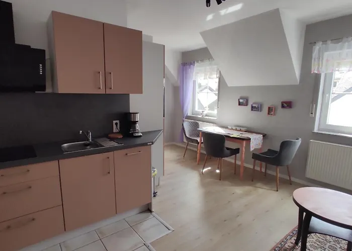 公寓 Moselpanorama 埃伦波特道夫