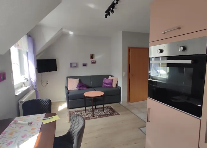 Moselpanorama 公寓 埃伦波特道夫